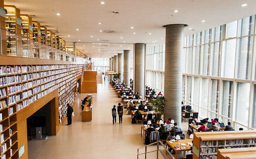 更上一層樓，圣博盾正式全面開啟現代化工廠生產與辦公網站建設