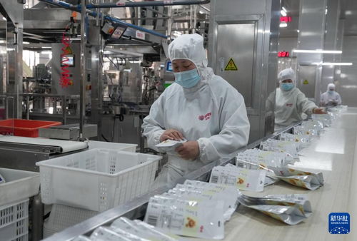 雙城記 河北遵化深加工賦能鄉村，上海軟件驅動產業升級